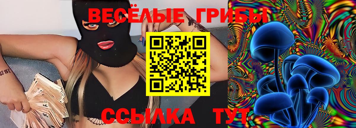 Галлюциногенные грибы GOLDEN TEACHER Татарск