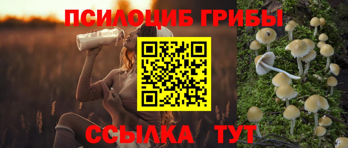 Галлюциногенные грибы прущие грибы  Вход с VPN  Татарск 